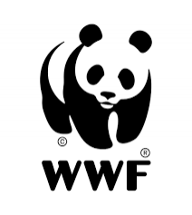 Edukacja na rzecz ochrony różnorodności biologicznej i klimatu – programy edukacyjne Fundacji WWF Polska